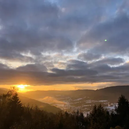 Le Cosy De Bouvacote Avec Vue Panoramique Et Sauna Apartman Le Tholy