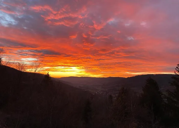 아파트 Le Cozy De Bouvacote Avec Vue Panoramique Et Sauna 르톨리