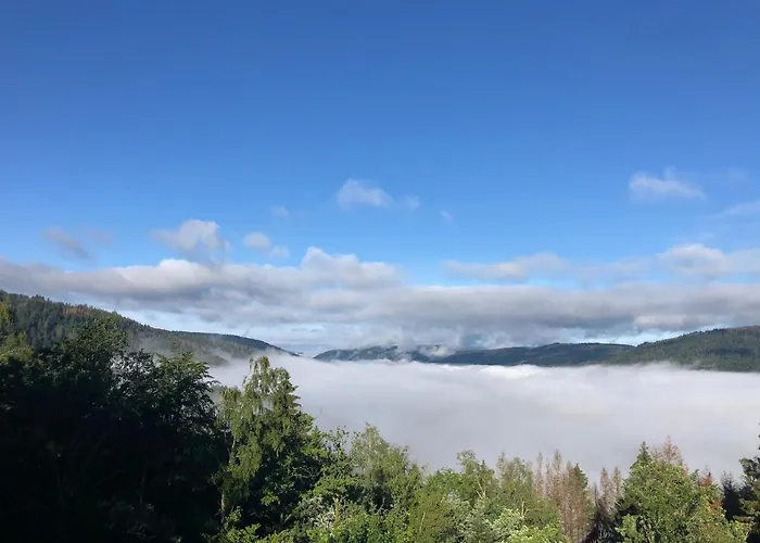 Le Cozy De Bouvacote Avec Vue Panoramique Et Sauna *