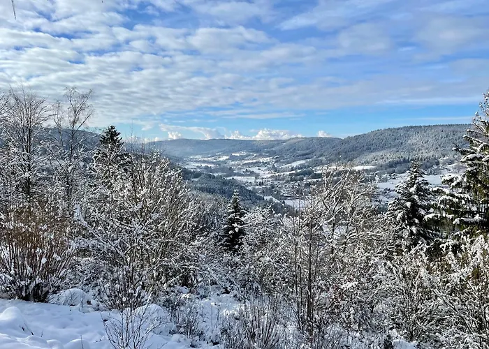 Le Cozy De Bouvacote Avec Vue Panoramique Et Sauna 아파트 *