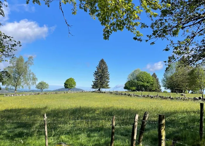 Le Cozy De Bouvacote Avec Vue Panoramique Et Sauna 아파트